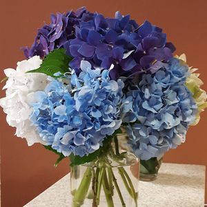 Meet your Posher, Cecil marie